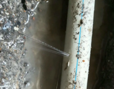 西畴测漏水哪家好