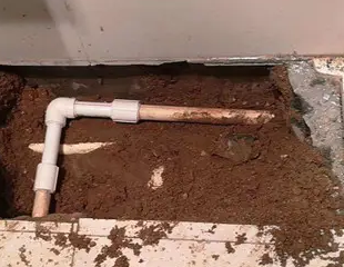 西畴测漏水哪家好