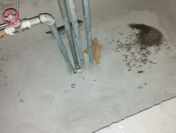 西畴卫生间测漏水价格明细