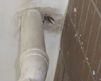 西畴漏水检测哪家好